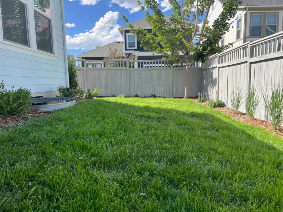 Yard showing proper grading away from house for drainage.