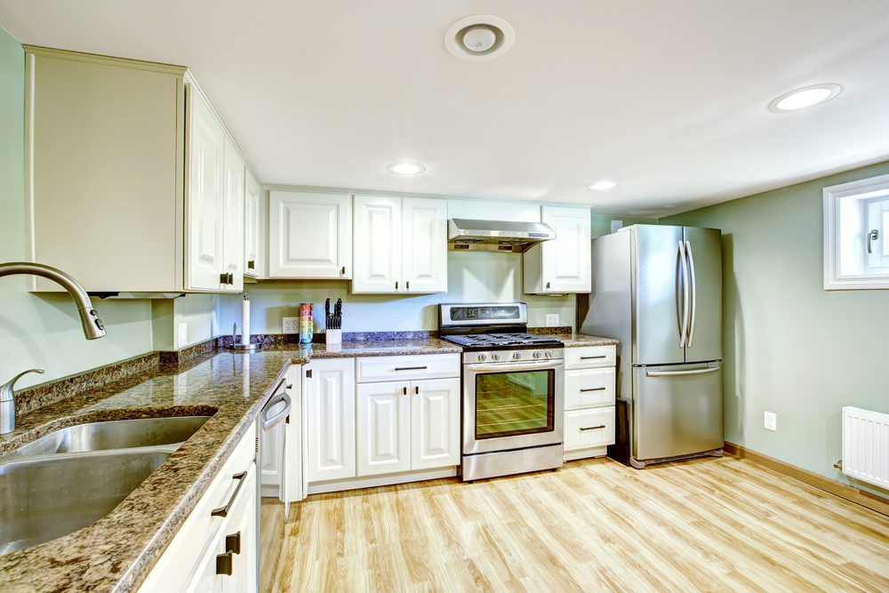 Interior shot of a basement ADU