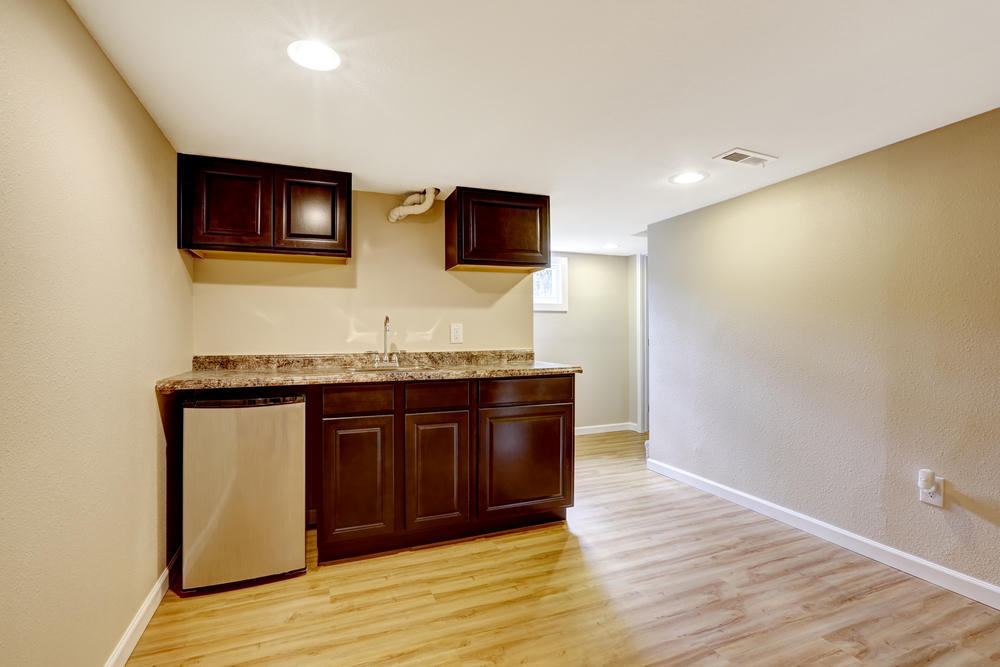 Interior shot of a basement ADU